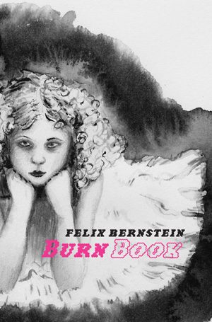 Burn Book [Book]