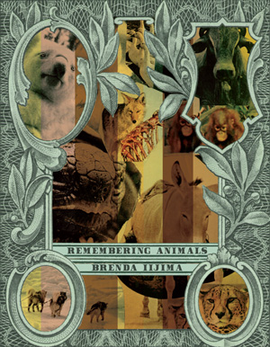 Remembering Animals