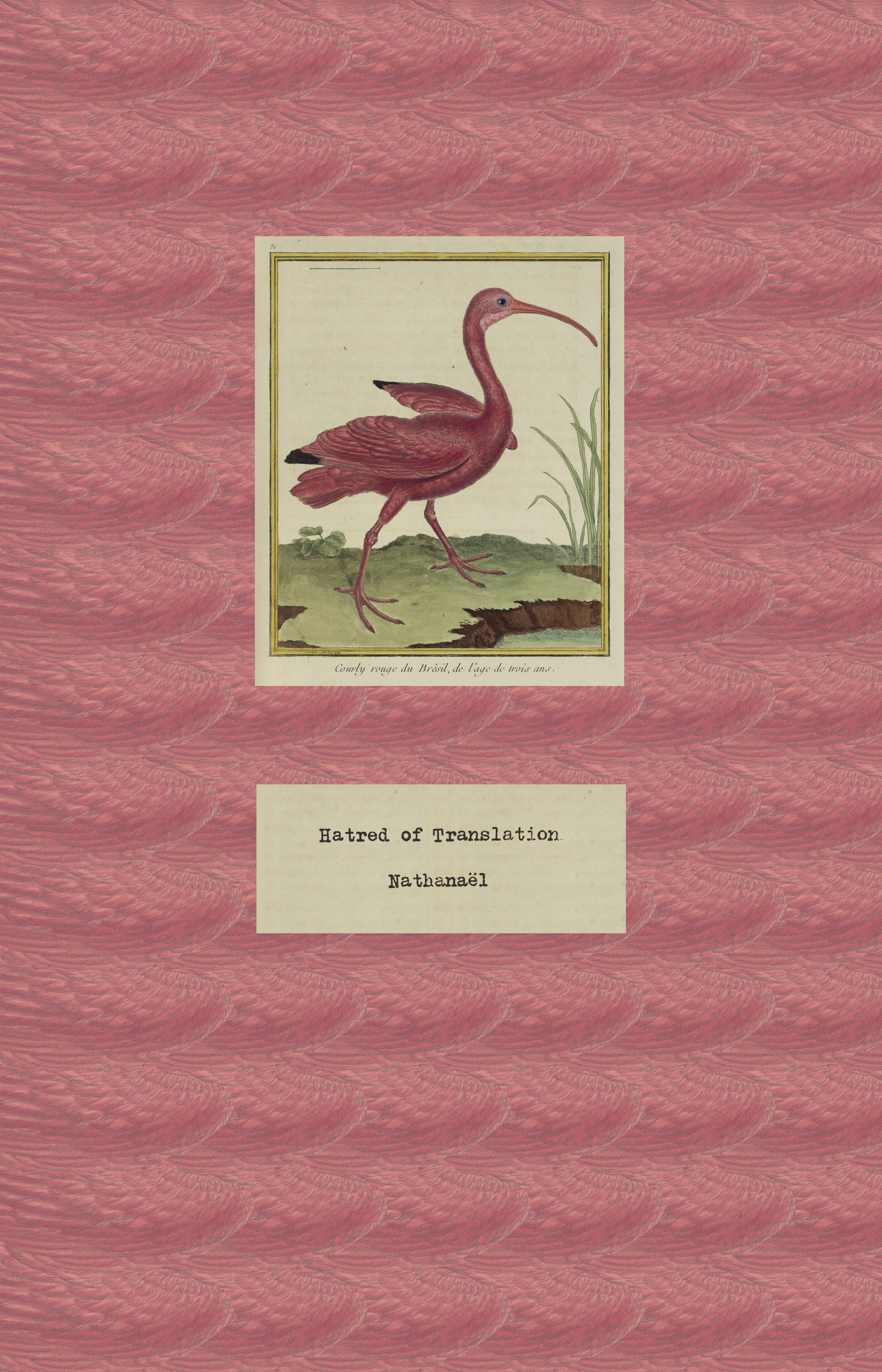 FrontCover_HatredOfTranslation