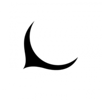 nightboat moon logo
