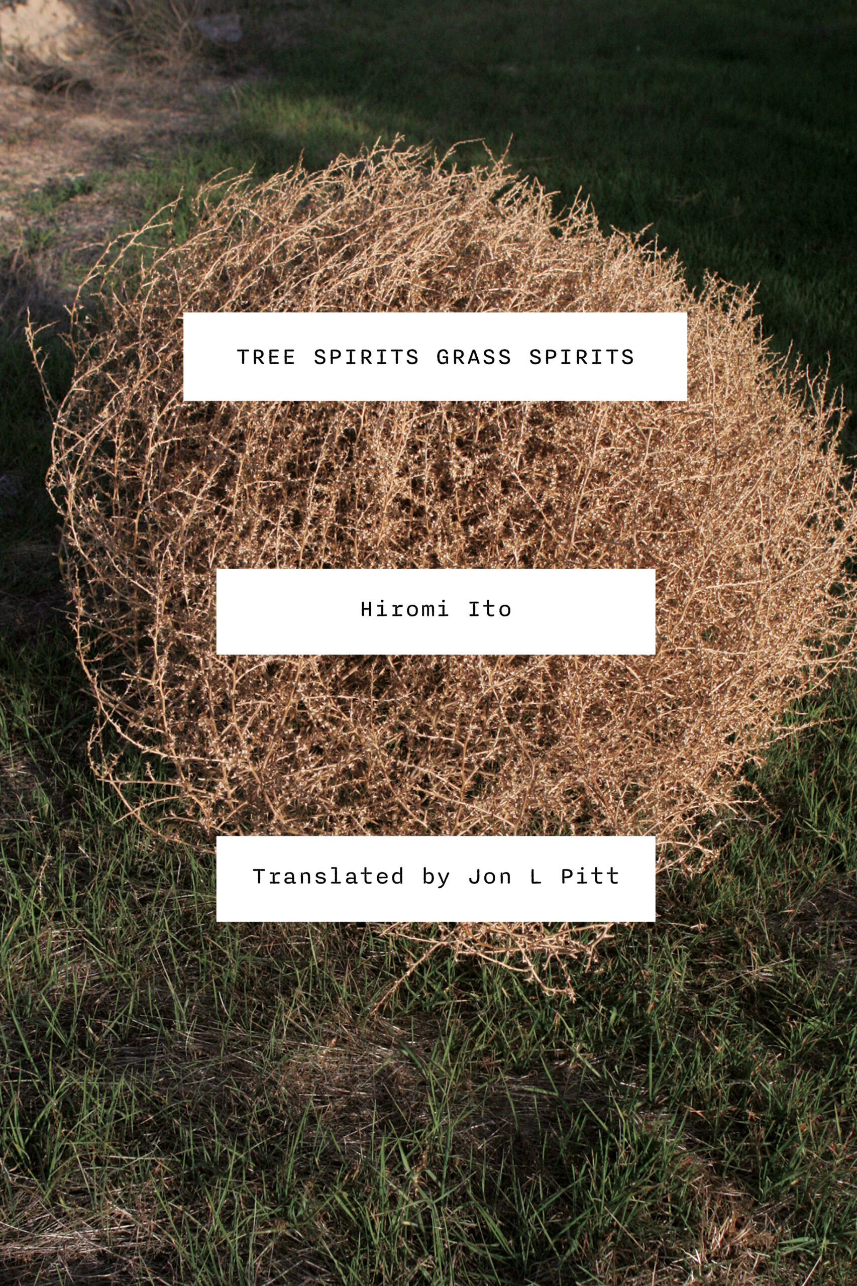 Tree Spirits Grass Spirits – Nightboat Books