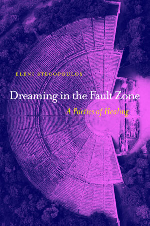 Cover of Dreaming in the Fault Zone
